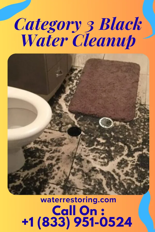 Category 3 Black Water Cleanup in Bayard, WV