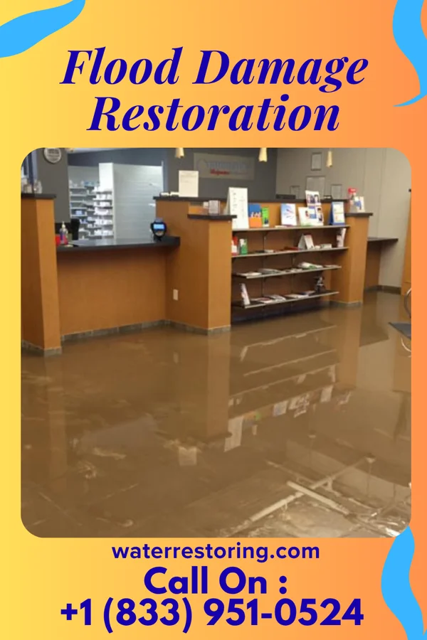 Flood Damage Restoration in Bayard, WV