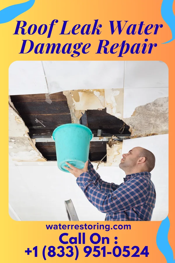 Roof Leak Water Damage Repair in Bayard, WV