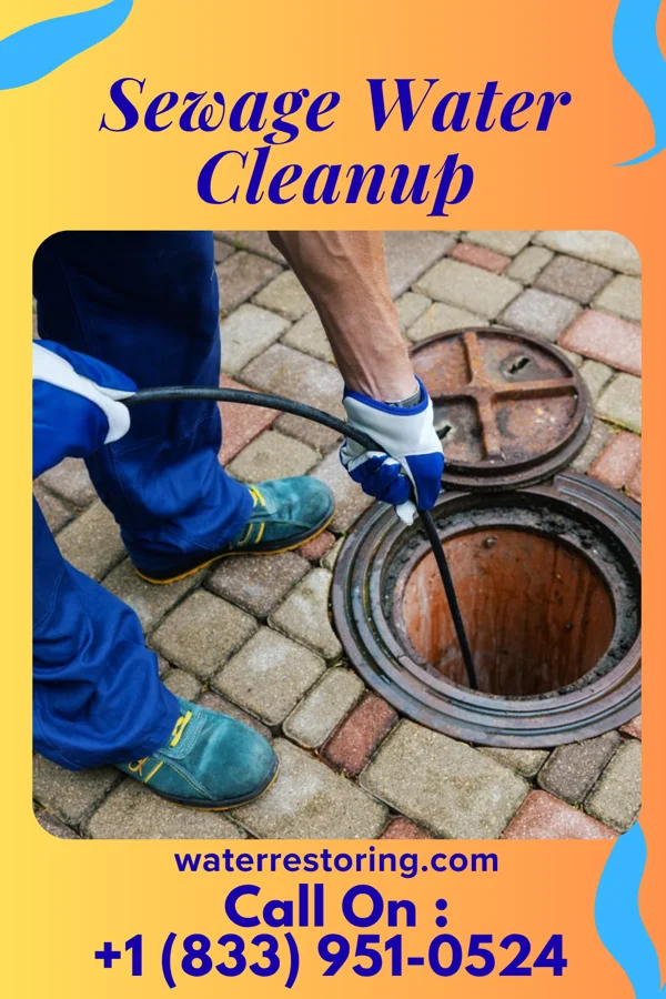 Sewage Water Cleanup in Bayard, WV